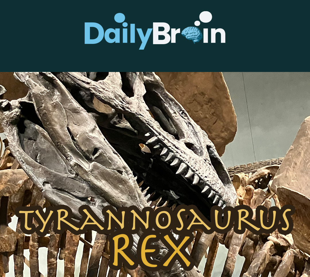 tyrannosaurus-rex