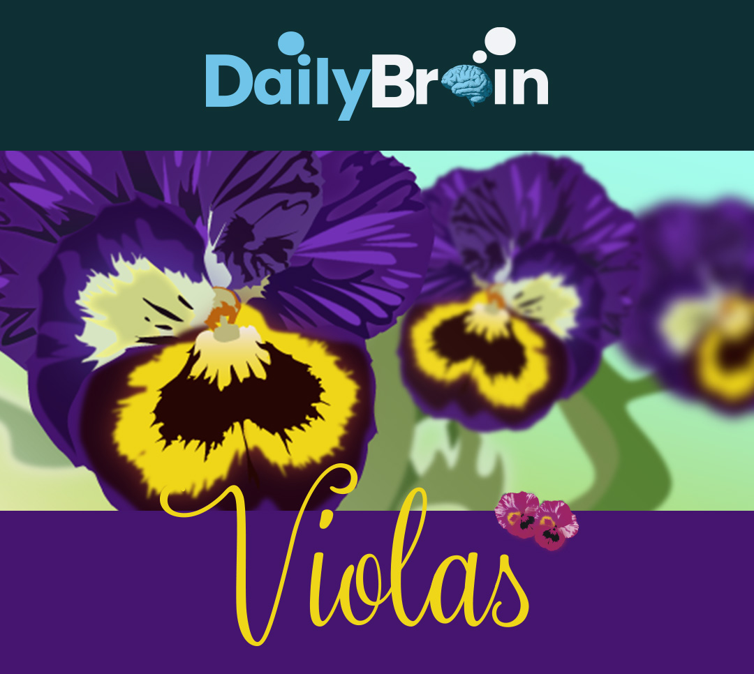 violas